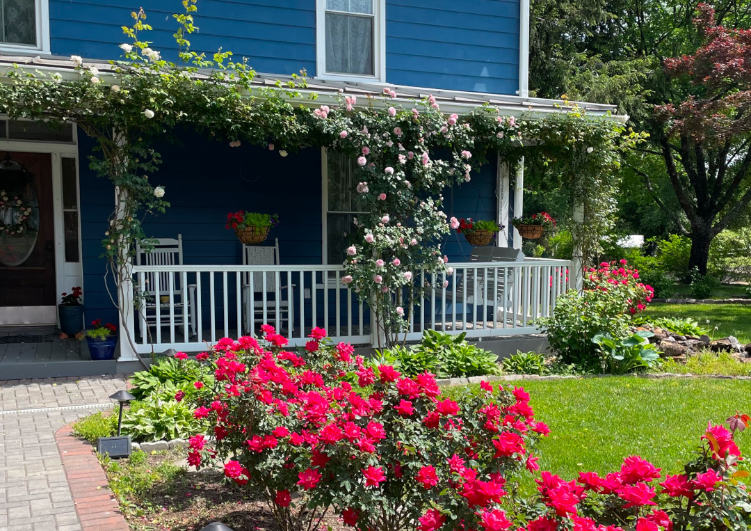 front porch with lots of climbing roses all over