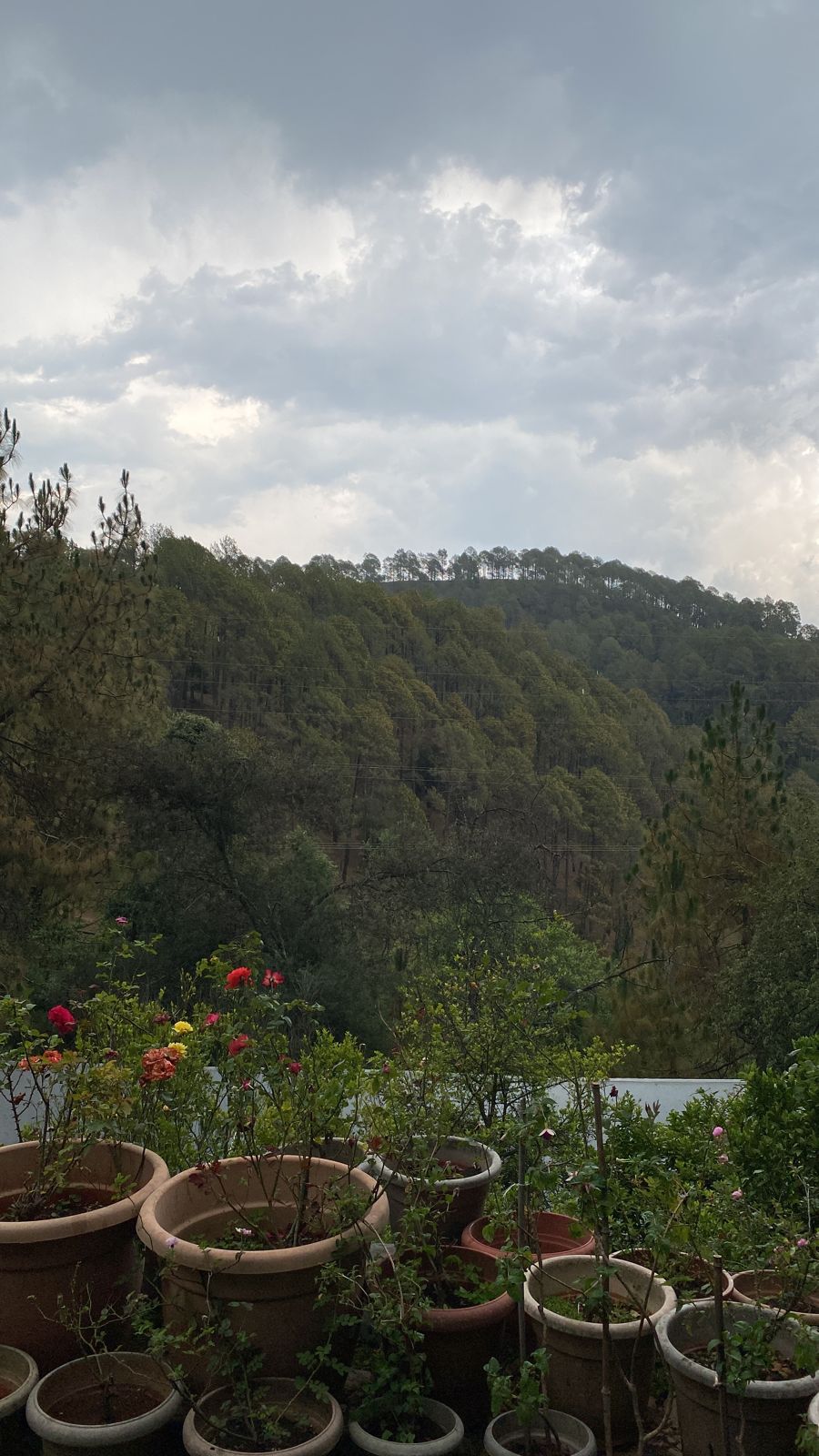 Vista de las montañas en el norte de la India