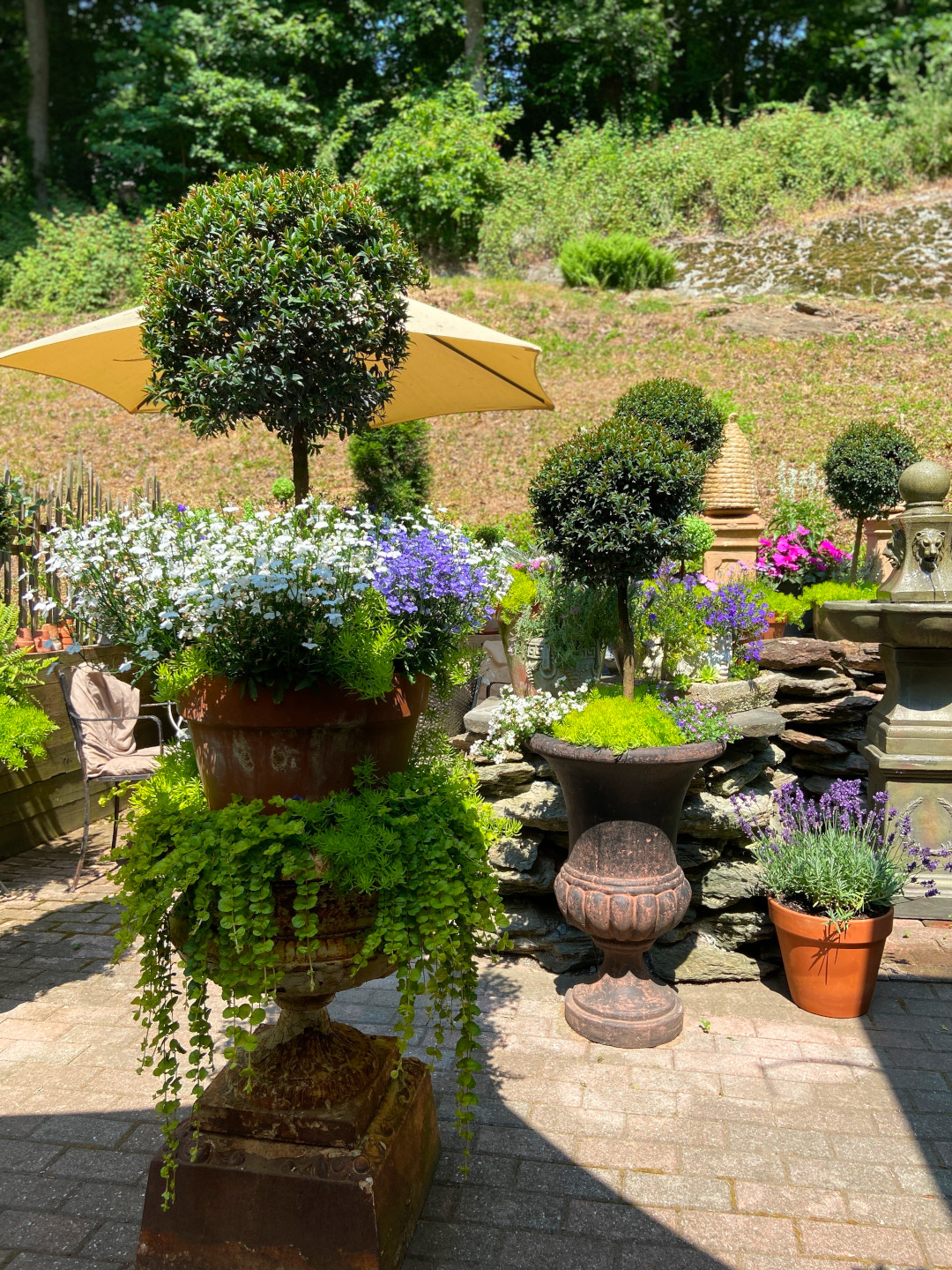 container plantings on a patio with topiaries and flowers