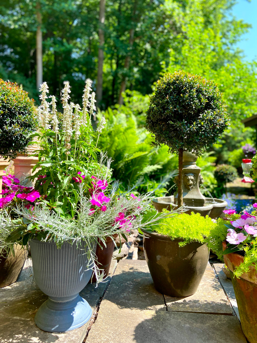 close up of different containers on the patio