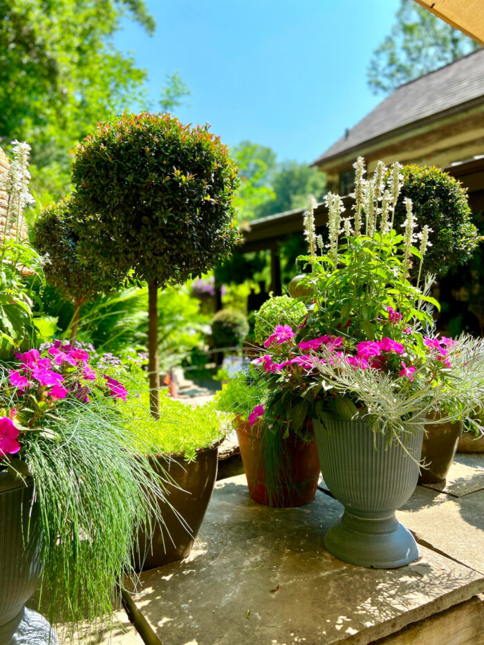 Gardening: Patio Container Vegetables - Cross Timbers Gazette, Southern  Denton County, Flower Mound