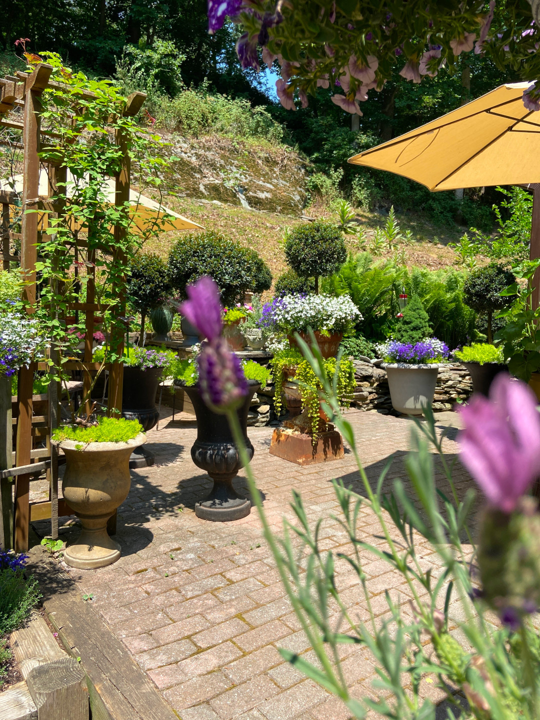 wider view of the container covered patio