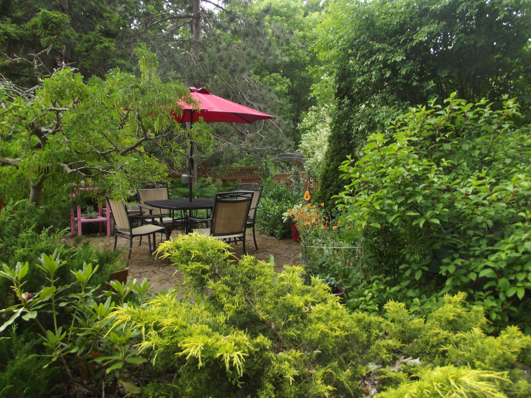 garden patio surrounded by green shrubs and trees