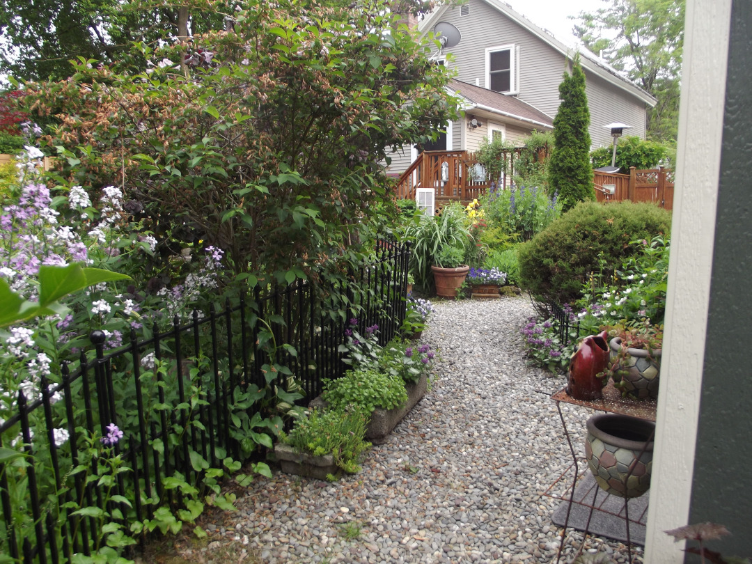 gravel path through the garden leading to house