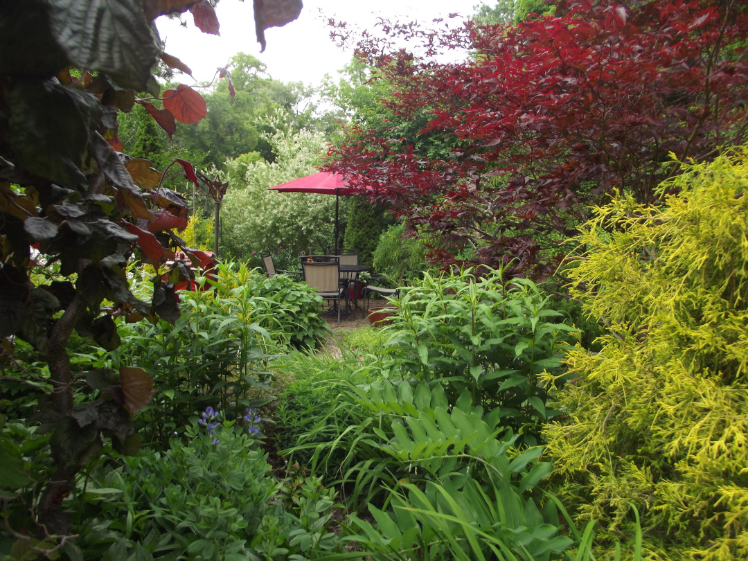 another view of garden patio with colorful foliage plants