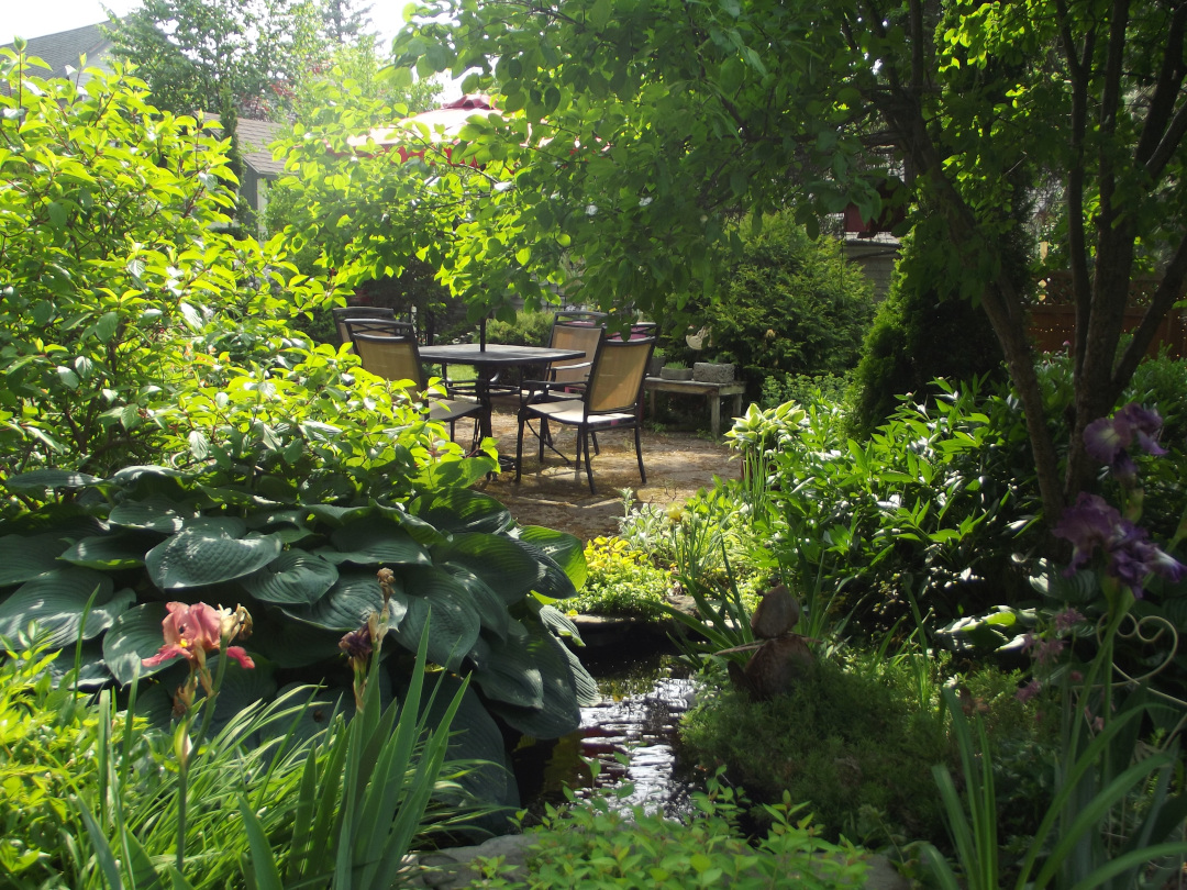 garden pond in front of patio