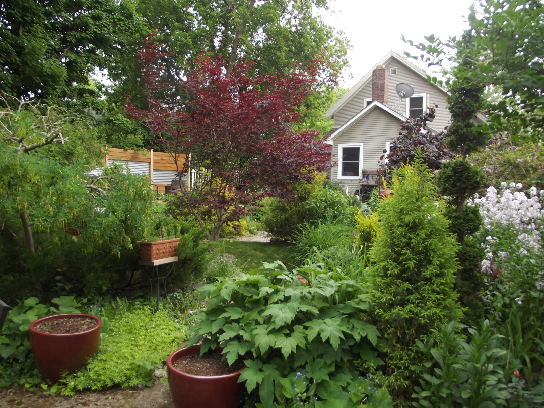 view of house from garden with lots of shrubs and small trees