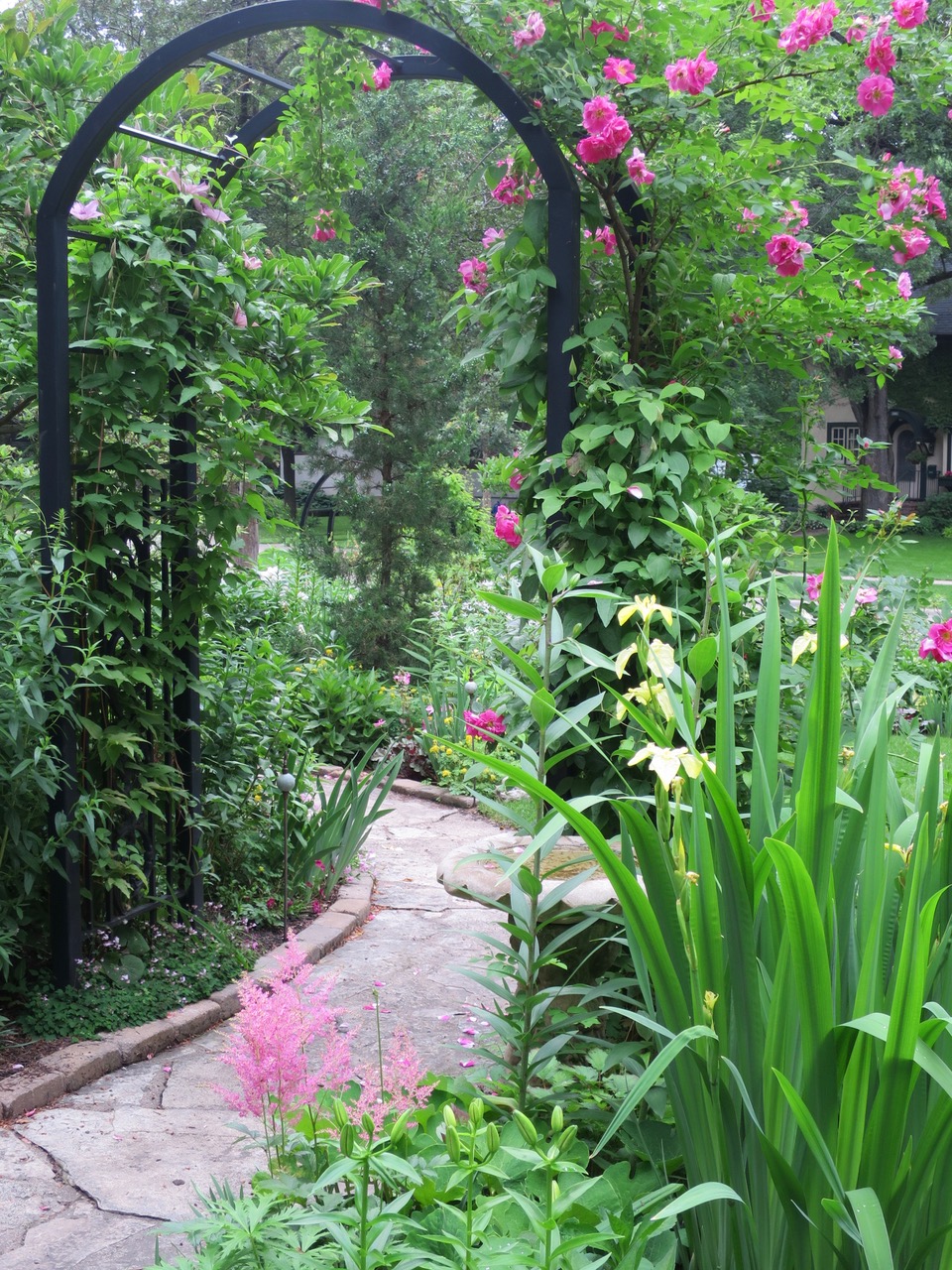 garden arbor with a bright pink rose climbing over