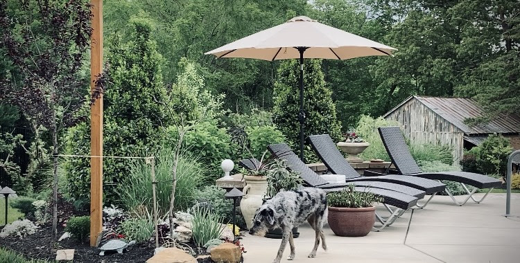 garden bed next to a pool deck