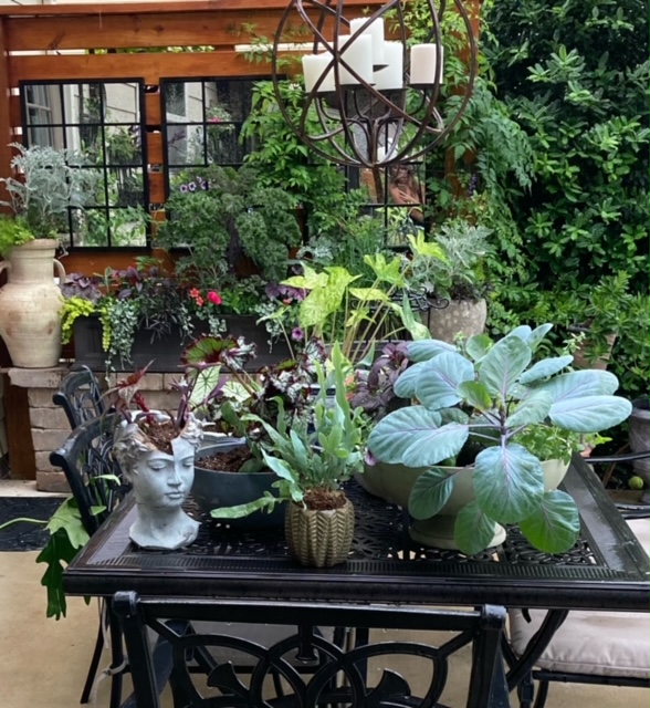 various container plantings on a patio table