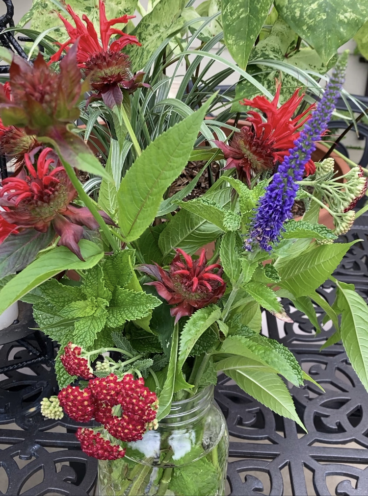 close up of bouquet in mason jar with bright red and purple flowers