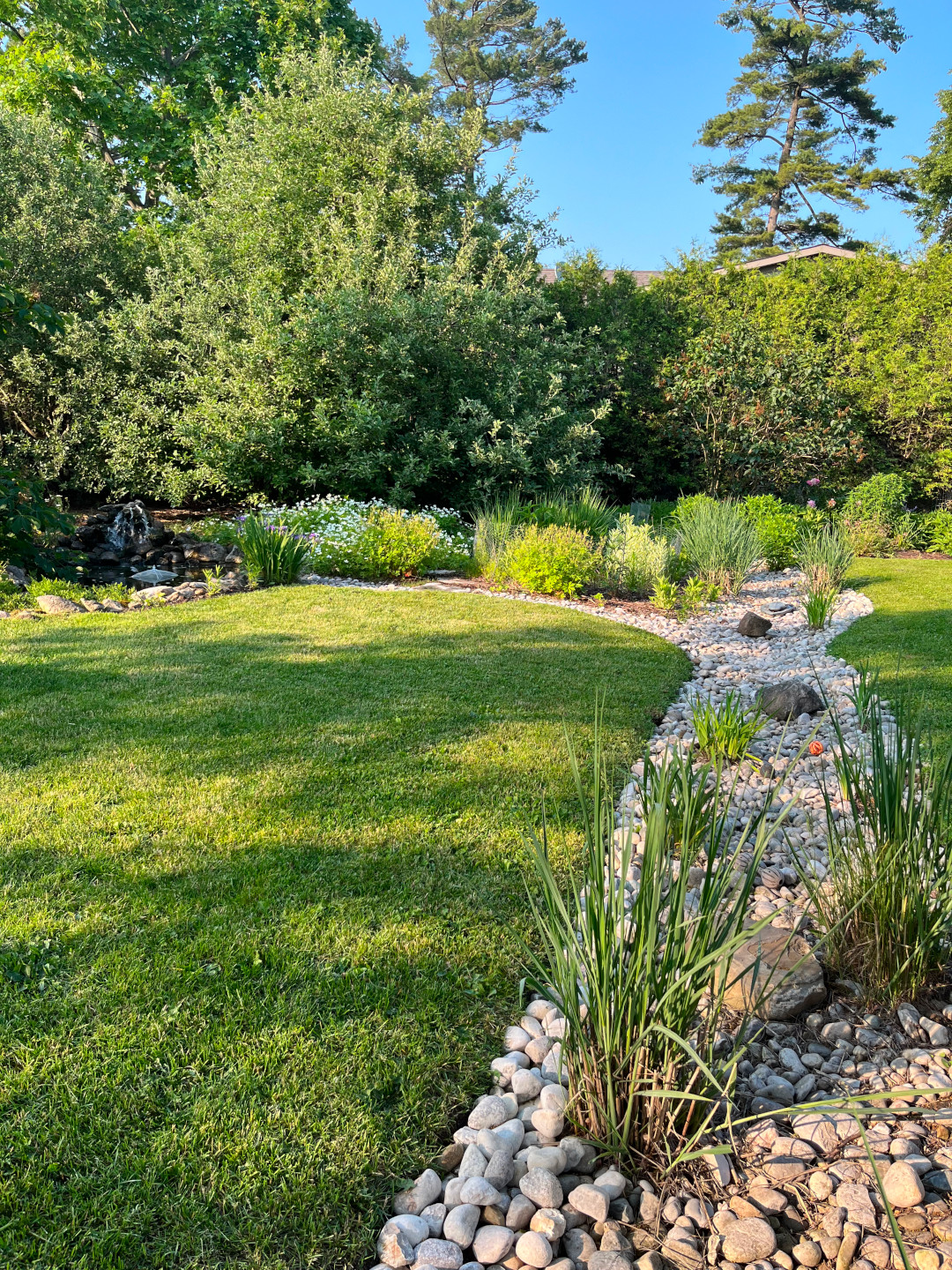 rain garden swale with grasses and plants planted throughout