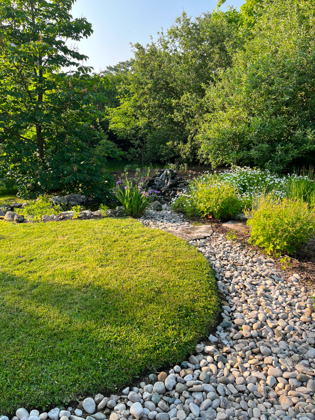 close up of rain garden swale and pond surrounded by plants