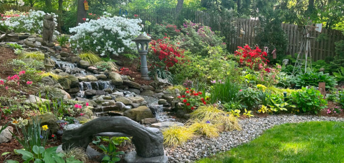 sloped garden bed covered in plants and featuring a small waterfall