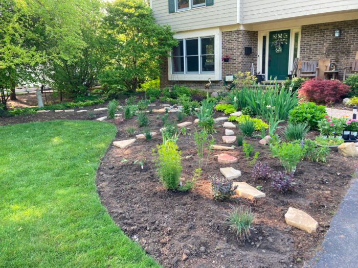 new front garden bed after new pollinator-friendly plantings