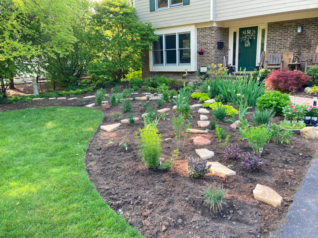 new front garden bed after new pollinator-friendly plantings