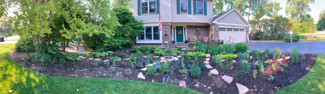 wide view of completed garden bed later in the season