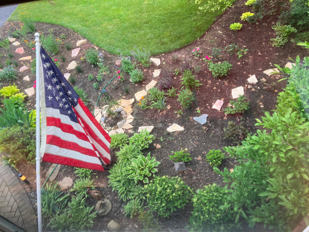 view of finished garden bed from above