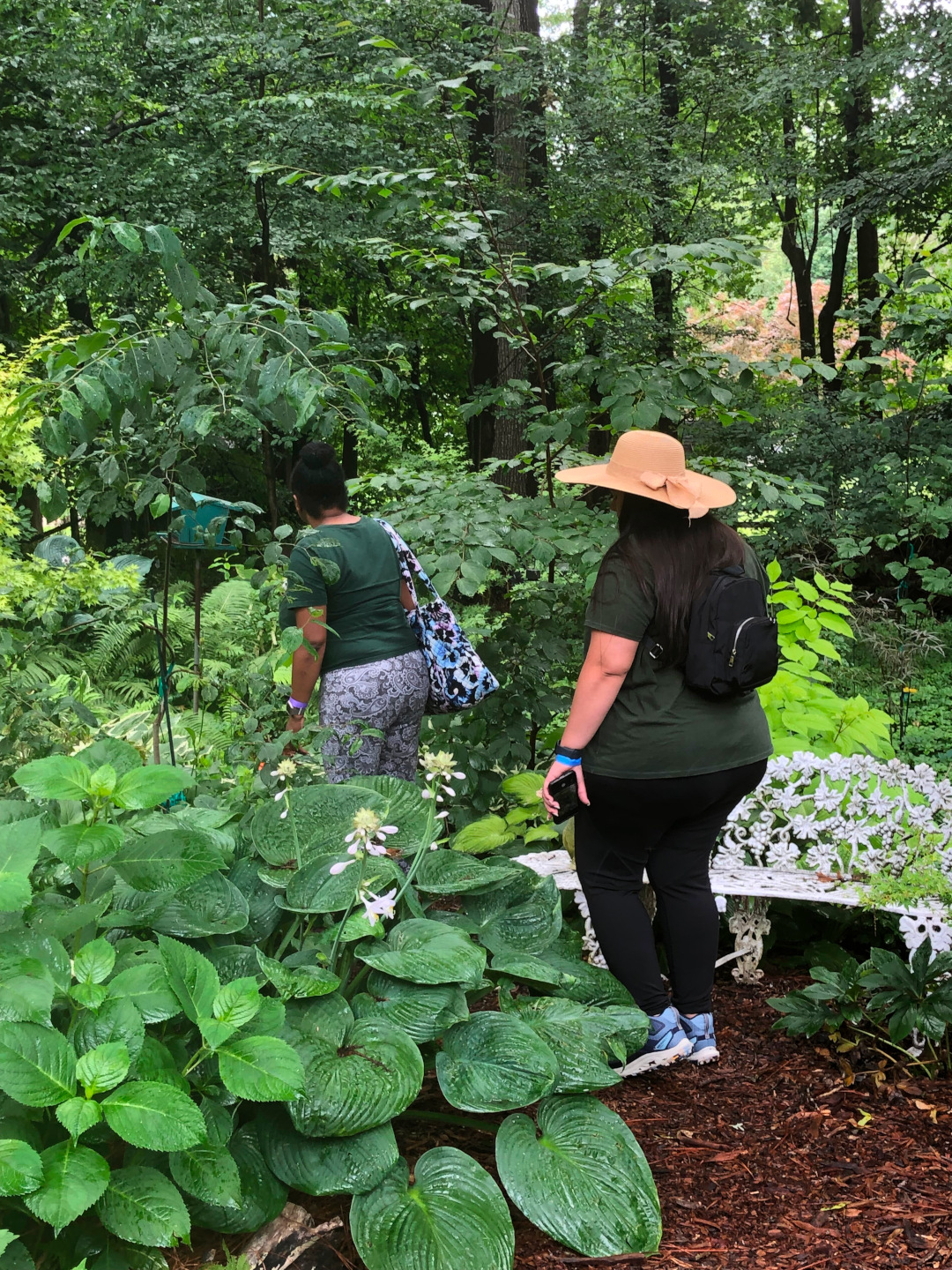 two visitors walking through the garden