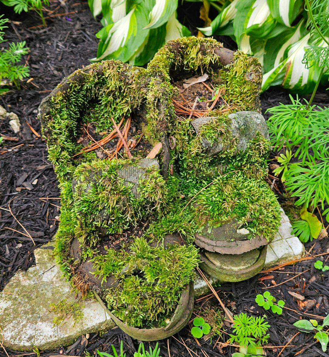 old pair of boots covered in moss