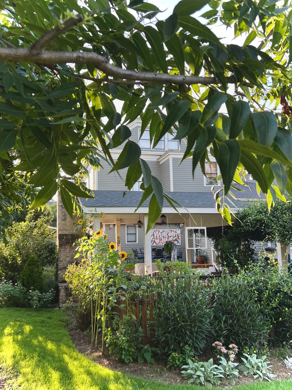 sunflowers and other plants around a porch