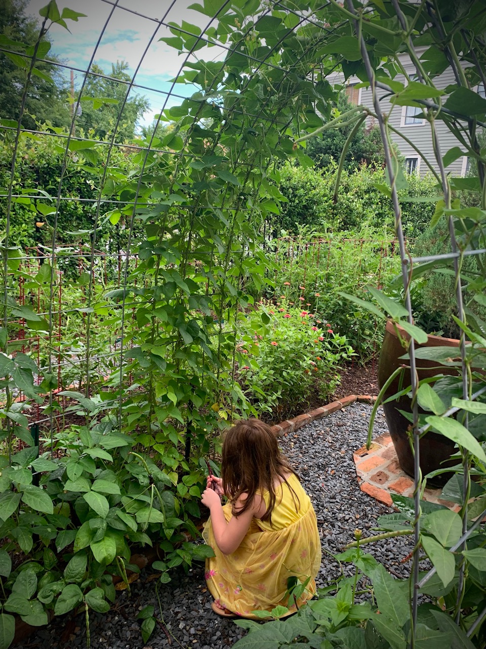 small child under trellis in garden