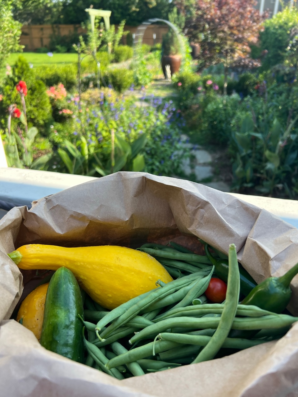 brown bag full of freshly harvested vegetables