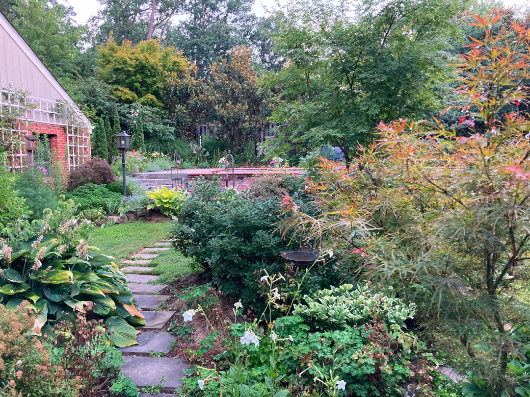 stone garden path with lush plants on either side