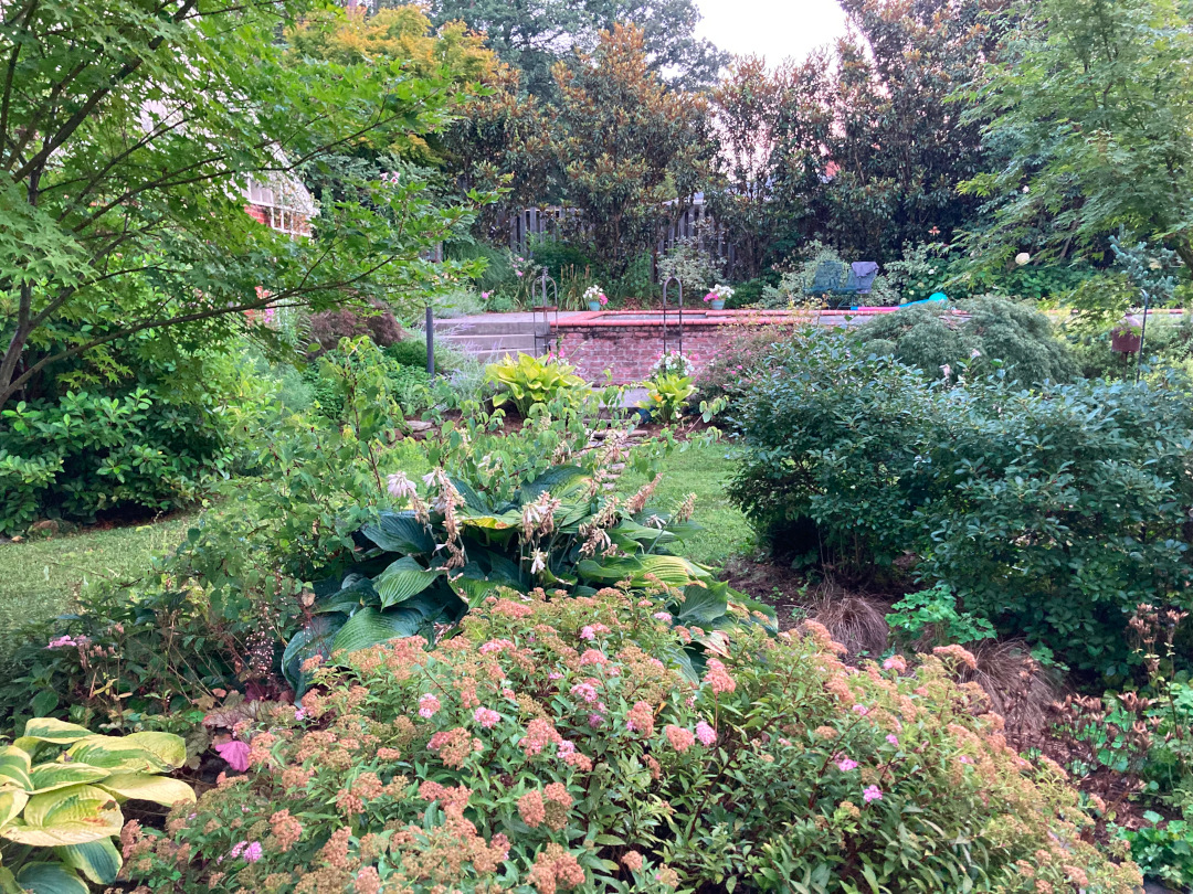 large garden bed with large shrubs and perennials