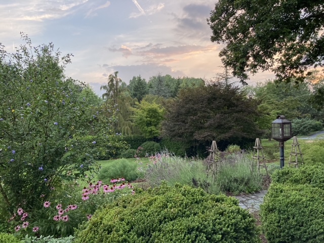 garden at sunrise