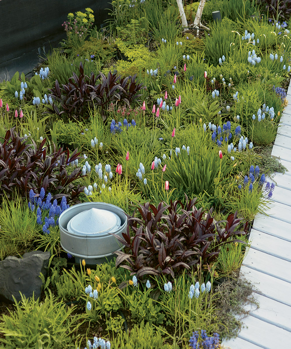 Cama de jardín en la azotea en primavera con bombillas brillantes por todas partes