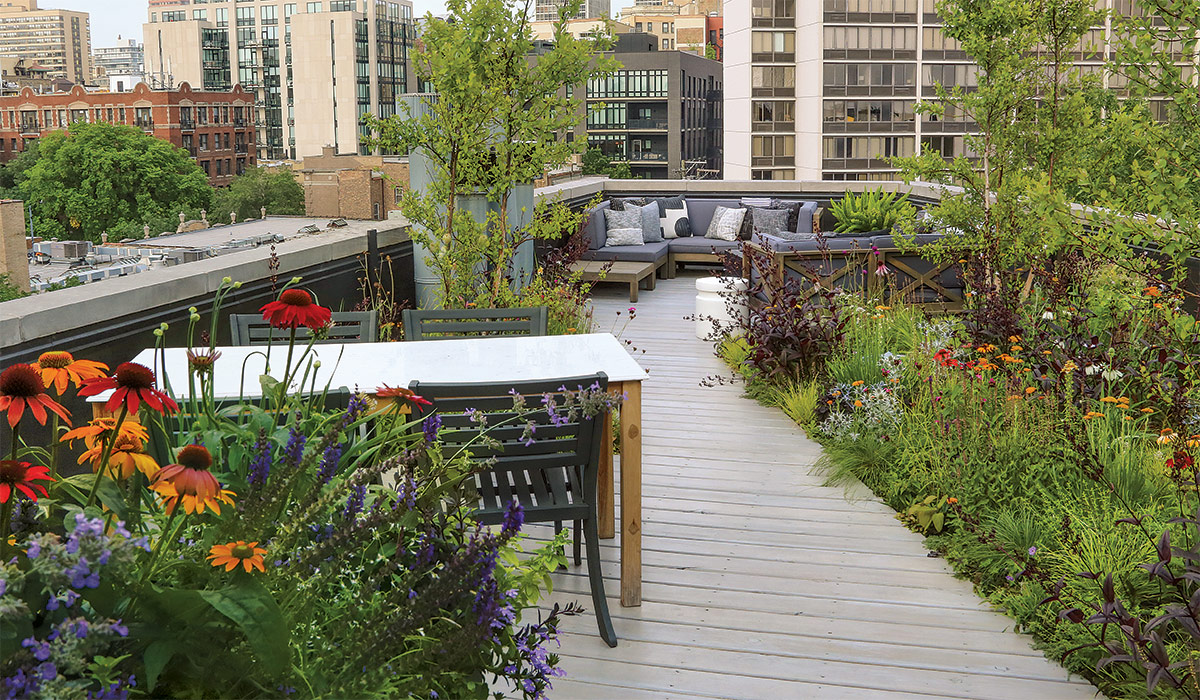 roof top dining area surrounded by pollinator gardens