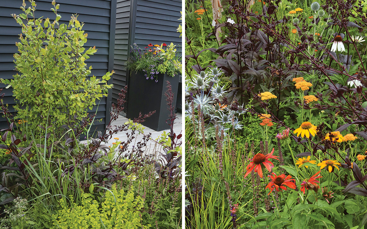 two different scenes on the root top garden, one with subdued colors and containers and the other with bright coneflowers