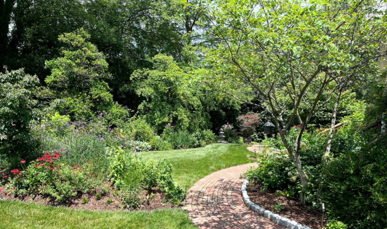 John’s Maryland Garden - Fine Gardening