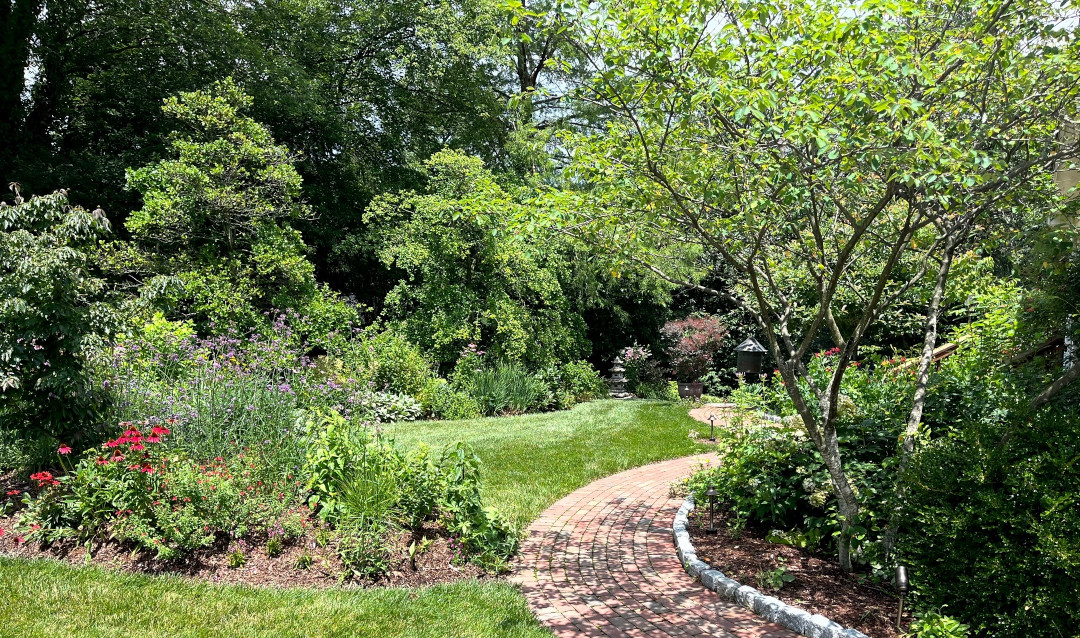 garden with winding brick path around a small tree