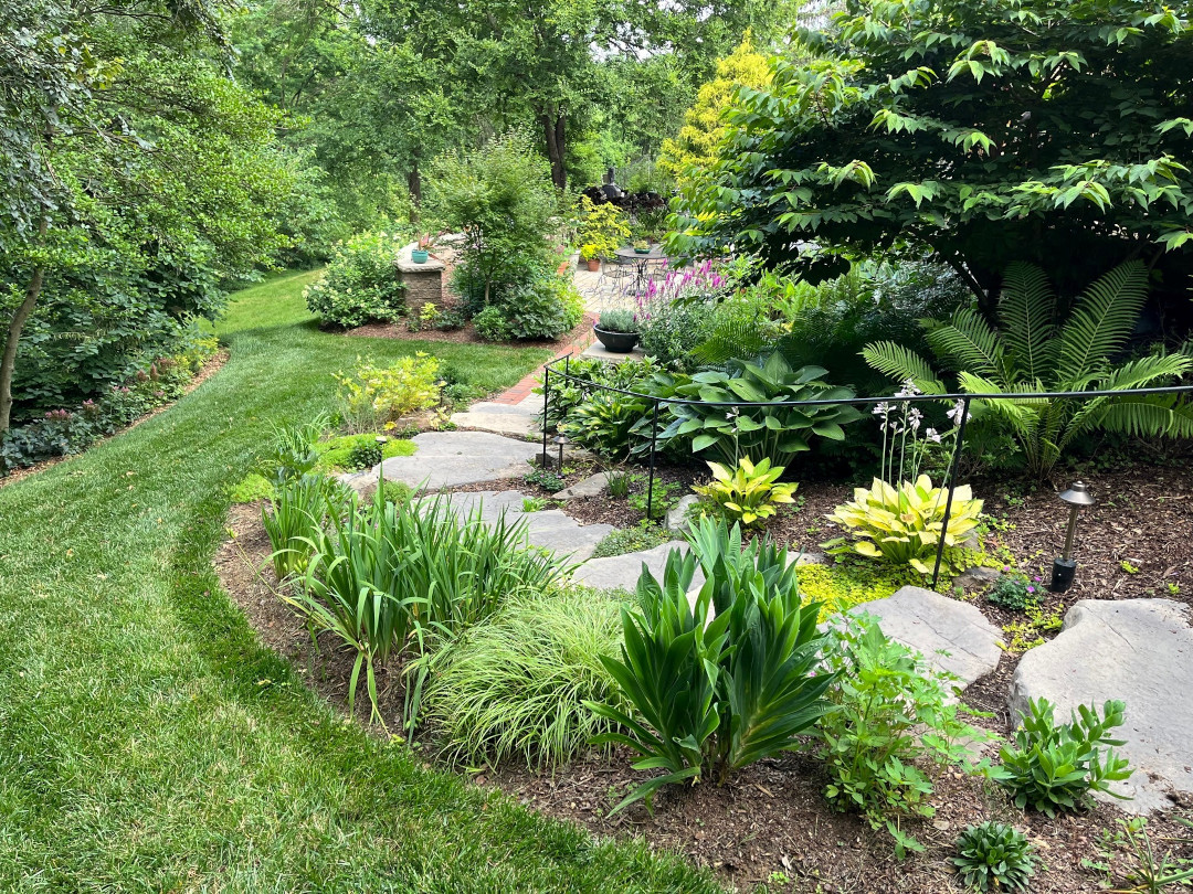 shade garden with various foliage plants