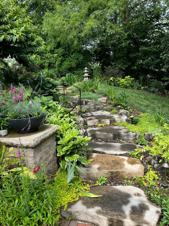 large stone steps leading through the garden with ground covers and container plantings