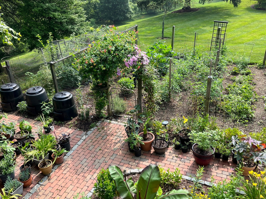 above view of full grow vegetable garden