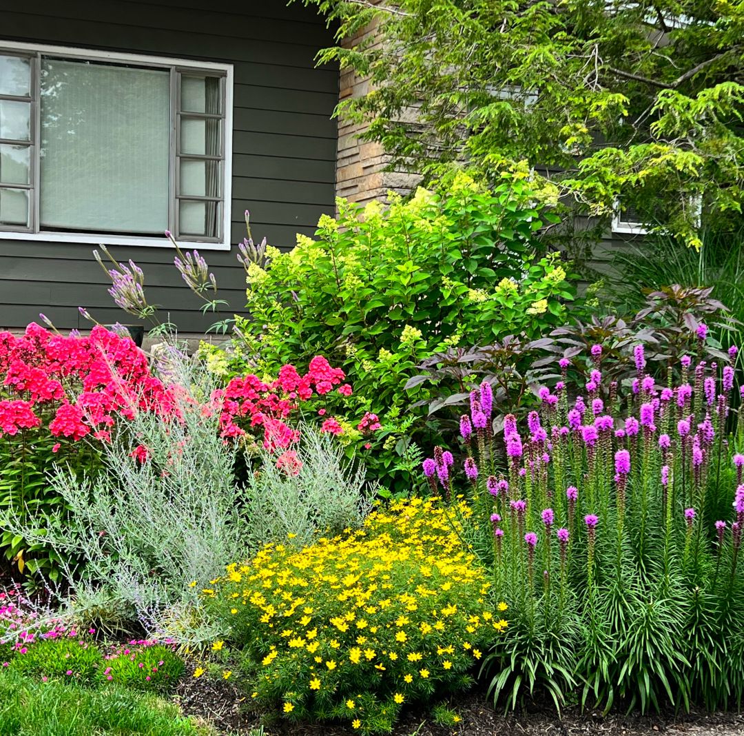 close up of garden bed with bright pink, yellow and purple flowers