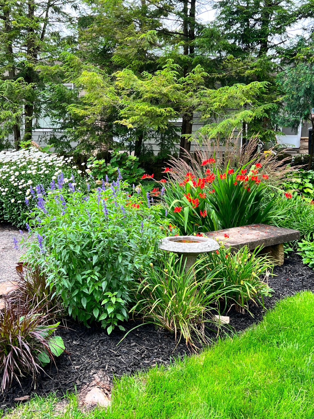 mulched garden bed with flowers, ornamental grasses and garden bench