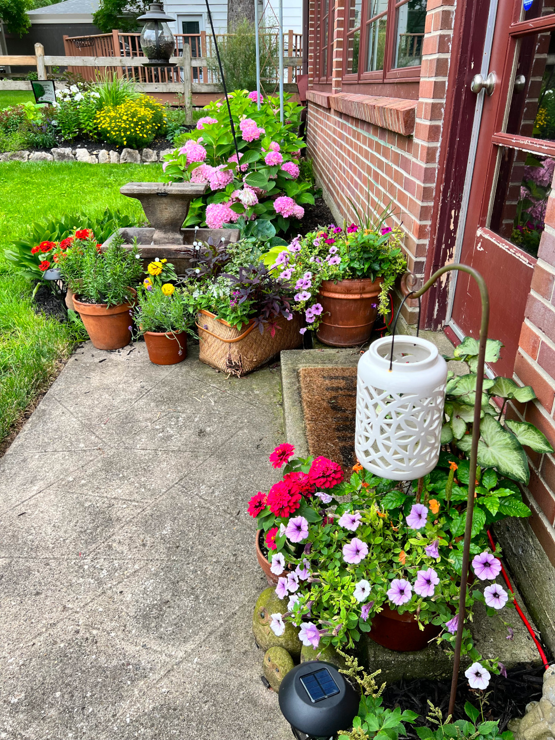 annual plants in containers around a back door