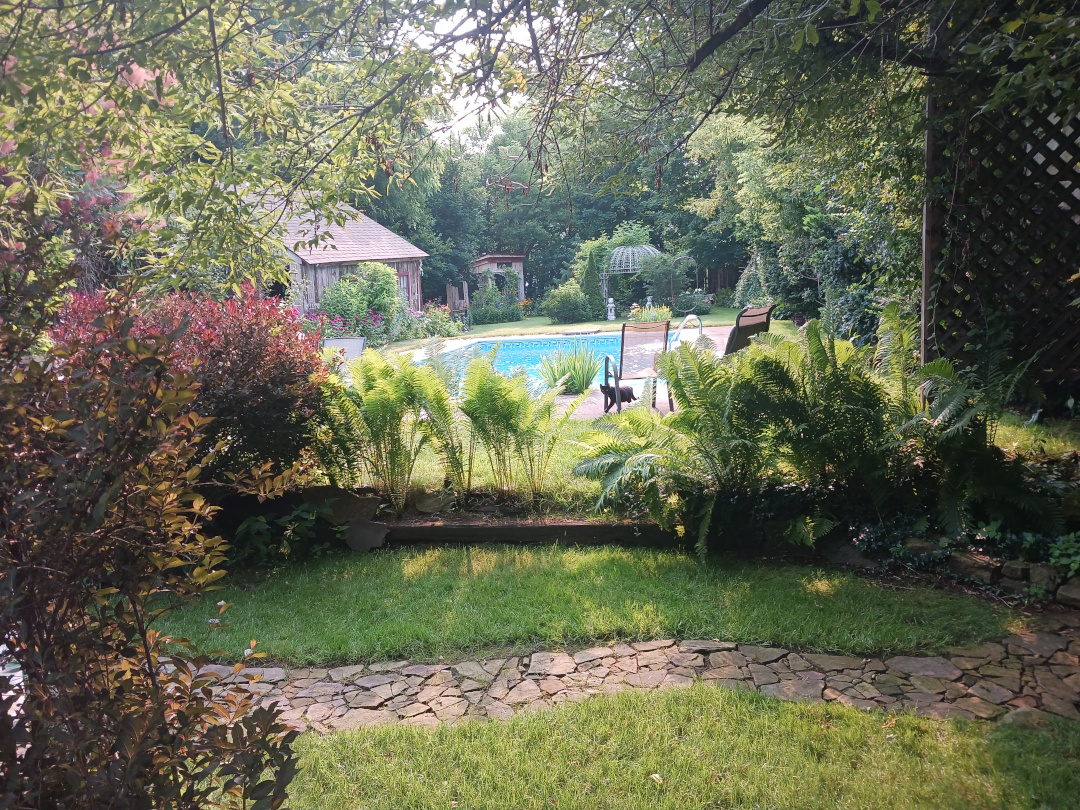 various foliage plants around an in-ground pool