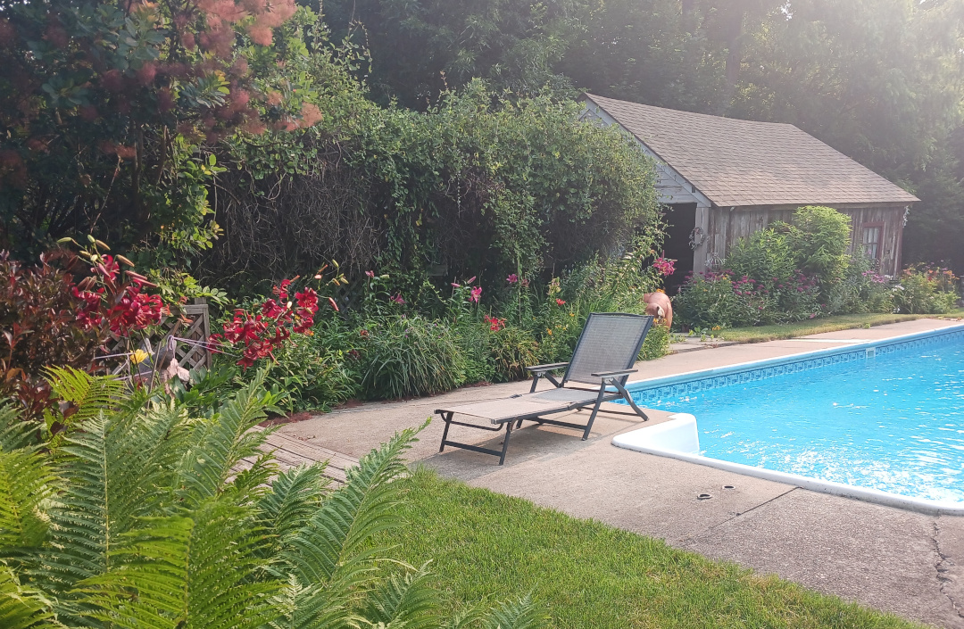 view of pool and plants that surround