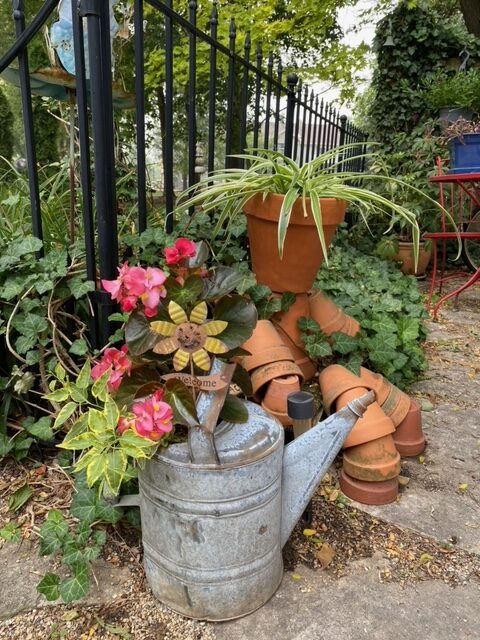 container planting in a old watering can