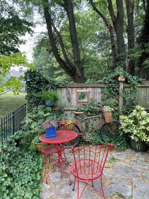 small table and chairs in the garden with vine growing around