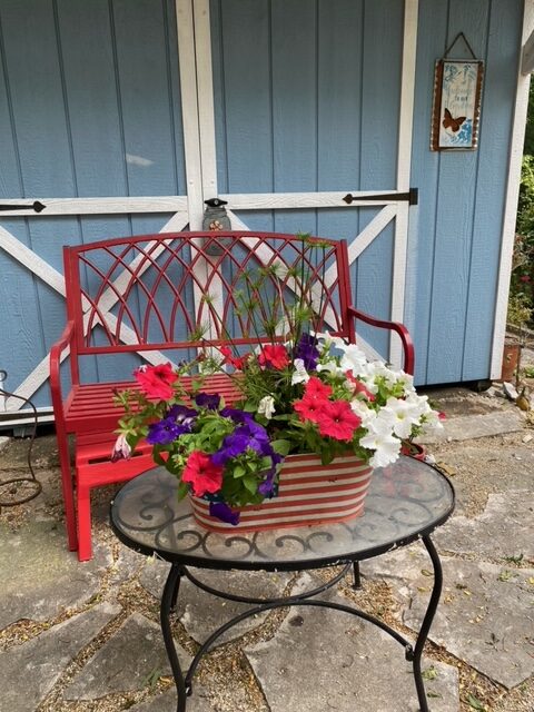 mix of petunias in a container