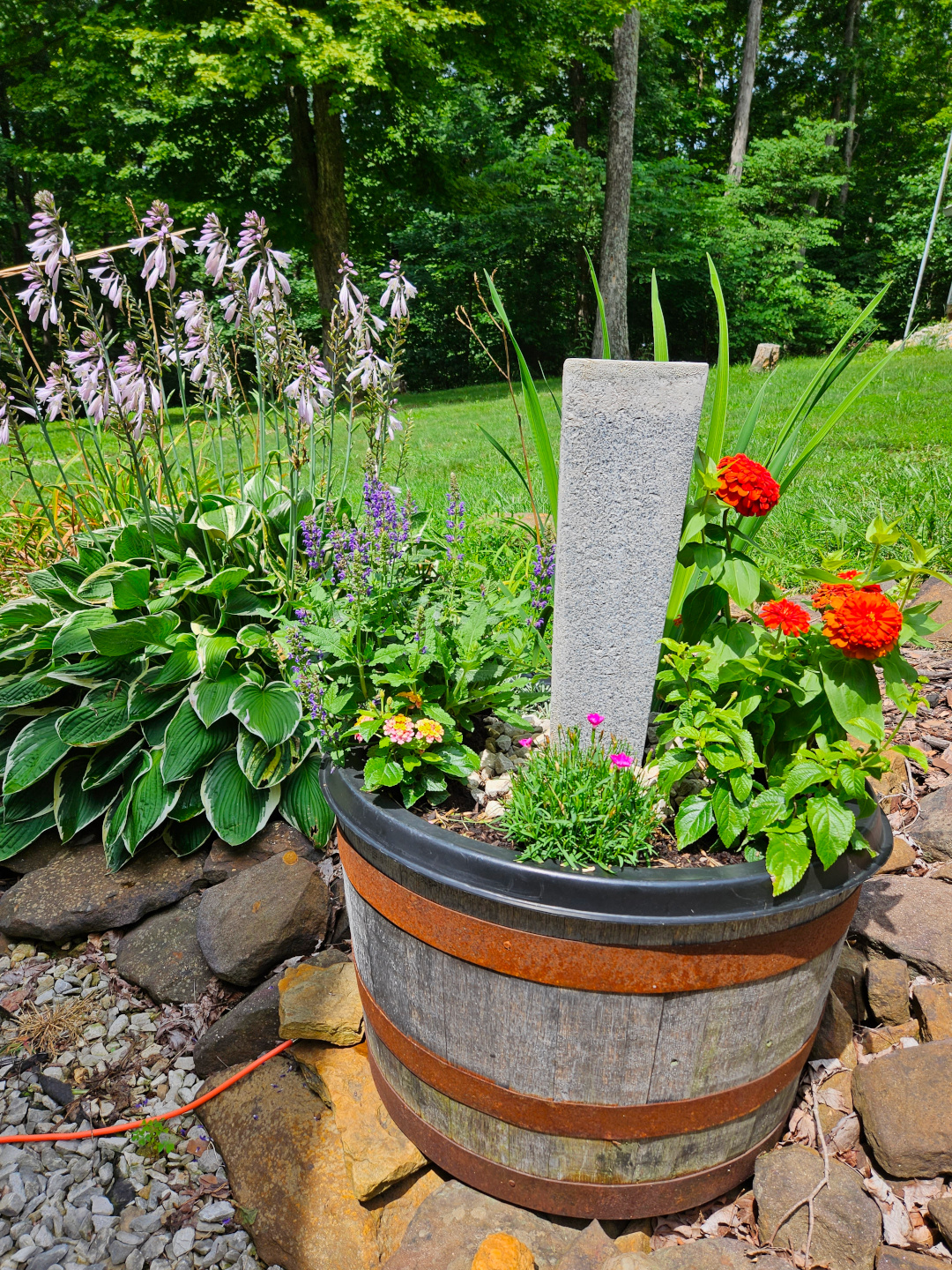 container planting with various flowers next to a hosta