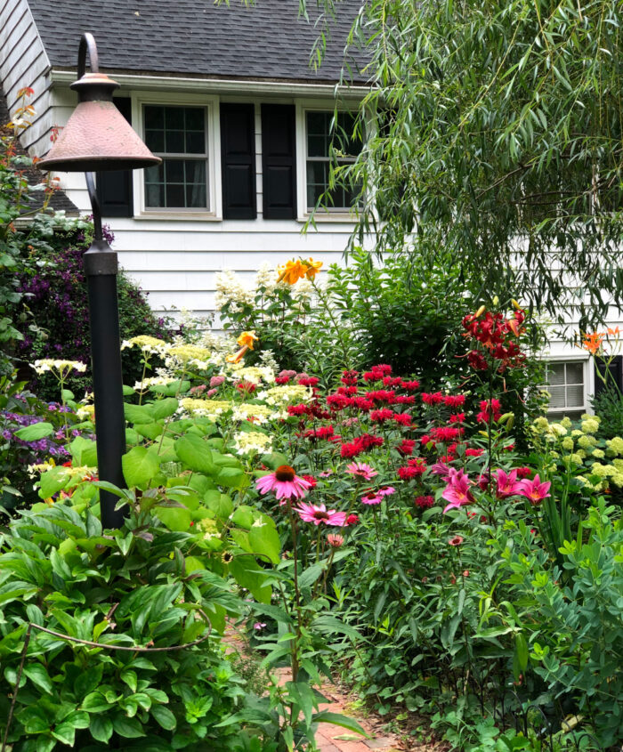 garden path being overgrown with colorful flowers