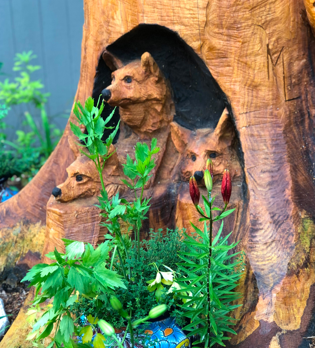 tree trunk carving with plants growing in front