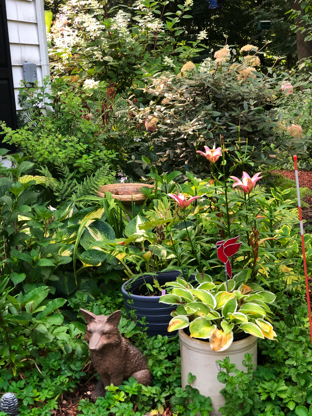 lush garden bed with lots of foliage plants and some pink flowers